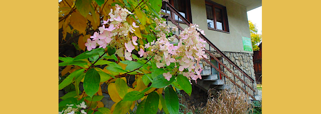 Zawoja-Chata-pod-Kwiatkiem